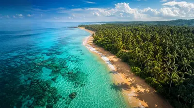 Aerial view of a beach in Sri Lanka with turquoise blue water and palm trees