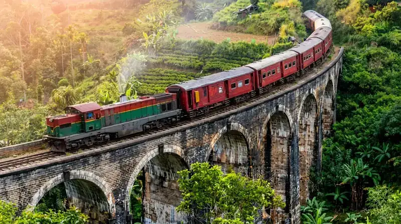 Sri Lanka Grand Coast & Culture: 10-Day Negombo to Hikkaduwa Explorer featured destination