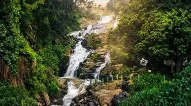 Sri Lanka Kultur, Tee & Safari: 7-Tage Dambulla bis Yala Entdecker