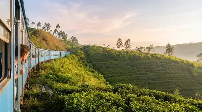 Scenic Blue Train journey through Sri Lanka