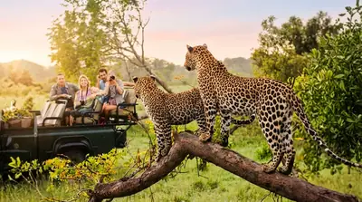 Leopard safari in Yala National Park, Sri Lanka