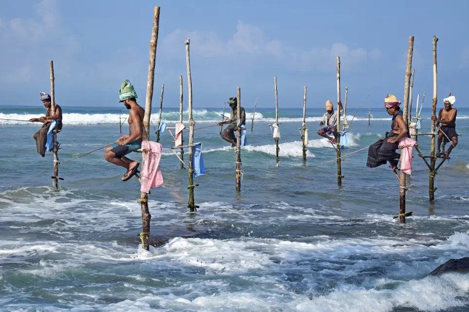 Traditional Stilt Fishing