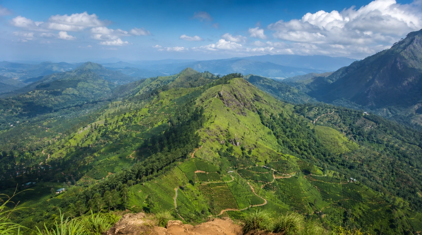 Blick von Little Adam's Peak über die grünen Teehügel bei Ella in Sri Lanka